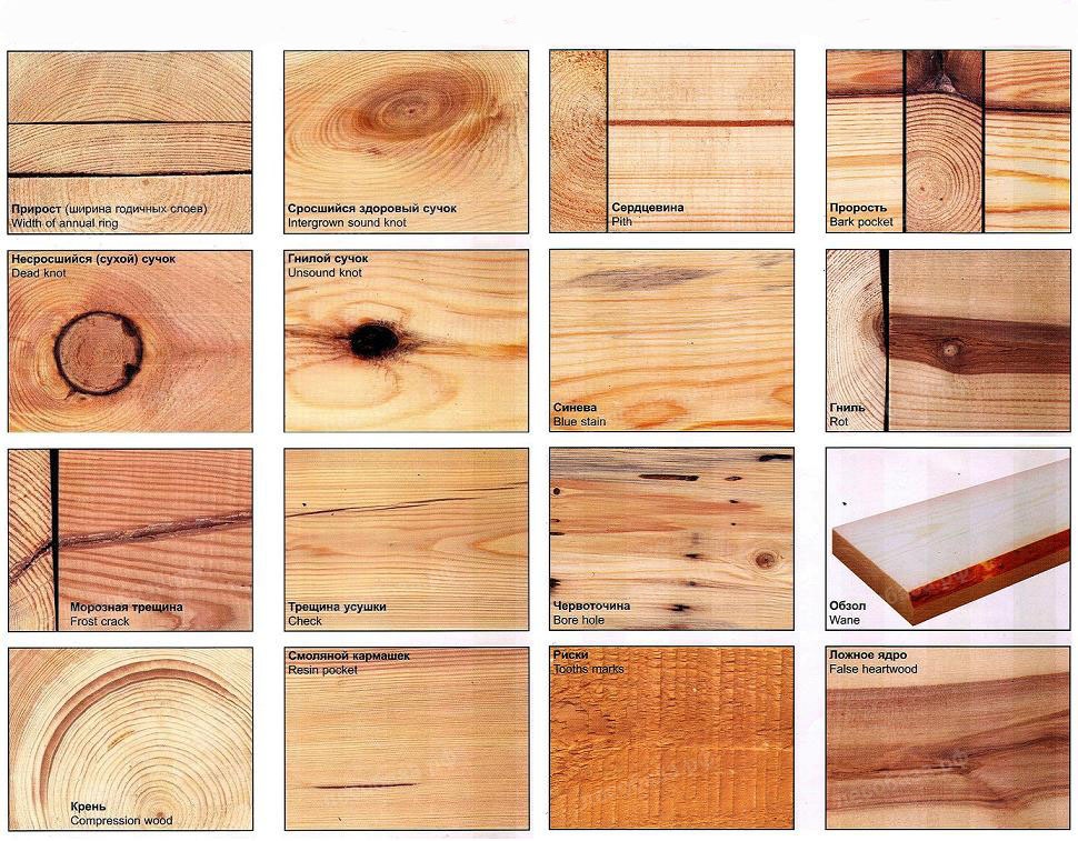 Сводная таблица дефектов древесины